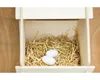 Oeuf En Bois Idéal Pour Loisirs Créatifs Et Décoration. - Voir les images du produit 6