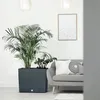 NABBI Jardinière en plastique DRC600T 60 cm - anthracite Voir les images du produit 15