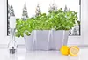 KADAX květináč "Fermo", květináč, plastový květináč, Náhled obrázku produktu 9