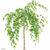 Trauerbirke Betula pendula youngii Hängebirke Stammhöhe 60 Produktbild-Vorschau 1