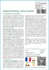 SAFLAX  - Copalme d'Amérique - 100 graines - Liquidamber Voir les images du produit 3