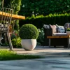 A potted plant sits on a patio next to outdoor furniture. Produktbild-Vorschau
