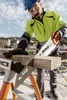 Líščí chvost Náhľad obrázku produktu 16