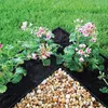 A garden bed with pink flowers and gravel. Produktbild-Vorschau