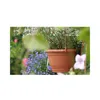 A hanging plant pot with a plant in it, set against a blurred garden background with flowers. Produktbild-Vorschau