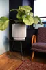 A plant in a decorative pot sits on a small side table next to a chair, with a rug on the floor. Produktbild-Vorschau