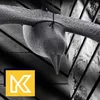 KADAX Duży Kruk Odstraszacz Na Balkon Ptaków Gołębi Szpaków Podgląd zdjęcia produktu 19
