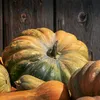 Muskatkürbis Muscade de Provence Samen - Cucurbita moschata Produktbild-Vorschau 5