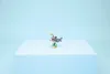 LEGO Creator 3-in-1-Set Wilder Hai mit Schatztruhe - Produktbild-Vorschau 33