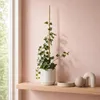 KADAX Bambusstab 90 cm x 12 mm, 1 Stück, Pflanzstab aus Produktbild-Vorschau 8