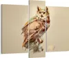 Bild auf Leinwand - Leinwandbild - Eule Vogel Natur - Produktbild-Vorschau 1