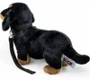 Carl Dick Teckel debout noir avec laisse env. 30cm de long, Voir les images du produit 4