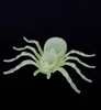 Deko Spinne nachtleuchtend 10 x 7 cm Halloween Karneval Produktbild-Vorschau 2