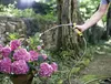 Kärcher Schlauch Performance Plus 1/2" - 50m Produktbild-Vorschau 2