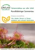 SAFLAX  - Rosolida - 50 semi - Drosera Anteprima dell’immagine prodotto 10