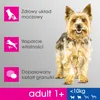Perfect Fit Adult 1+, Dorosły, Mini (5 - 10 kg), Kurczak, 6 Podgląd zdjęcia produktu 3