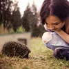 Relaxdays Ježčí domeček, dřevo, hotel pro ježky s podlahou, Náhled obrázku produktu 3