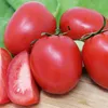 Buschtomaten Roma VF Samen - Solanum lycopersicum - Produktbild-Vorschau 5