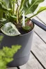 Pot Greensense Aqua Care Rond 43cm Grau Anthrazit - Elho Produktbild-Vorschau 10