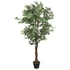 vidaXL Ficus Artificiel 1008 feuilles 180 cm Vert Voir les images du produit 5