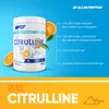 SFD Citrulline 400g Kiwi-Kaktus Citrullin Regeneration Produktbild-Vorschau 3