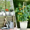 Plastard Blumentopf 10er Set Ø15 cm mit Untersetzer Weiss - Produktbild-Vorschau 7