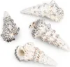 Cerithium nodulosum Muscheln und Schnecken zum Basteln und Produktbild-Vorschau 3