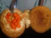 Entawak (Artocarpus anisophyllus) - 1 seme germogliato Anteprima dell’immagine prodotto 5