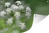 MuchoWow® Produktbild-Vorschau 1