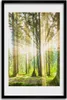 Bild - Bilderrahmen - 40 cm x 60 cm - MDF - Rahmen - Produktbild-Vorschau 1