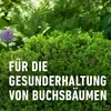 COMPO Algenkalk für Buchsbäume 1 kg Produktbild-Vorschau 10