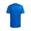 Hemd Adidas Tiro 24 Trikot IS1014 Produktbild-Vorschau 2