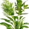 Bloomique - Mix 3 - Rośliny do sypialni - Spathiphyllum, Podgląd zdjęcia produktu 3