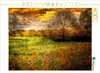 Calvendo Mohnblumen in einem Getreidefeld 2000 Teile Puzzle Produktbild-Vorschau 3