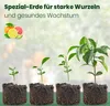 Meine Orangerie Zitruserde und mediterrane Pflanzenerde Produktbild-Vorschau 3