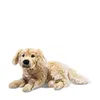 Steiff Kuscheltier Golden Retriever Andor Hellbraun (45cm) Produktbild-Vorschau 1