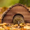 Relaxdays Domček pre ježkov, flámované drevo, hotel pre Náhľad obrázku produktu 2