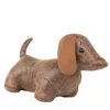 Paoletti - Cale-porte "Dexter Daschund", chien RV2818 Voir les images du produit 1