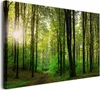 Plátno nástěnný obraz do ložnice stromy zelený les 80x120cm Náhled obrázku produktu 2