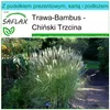 SAFLAX - Zestaw prezentowy - Chiński Trzcina - 200 Nasiona Podgląd zdjęcia produktu 5