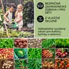 Blumfeldt High Grow Straight, vyvýšený záhon, 180 x 60 x 90 Náhled obrázku produktu 6