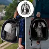 Collage of images showing a cat carrier backpack with cats inside, being worn by people in outdoor and indoor settings. Voir les images du produit