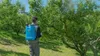 Rallonge telescopique pour pulvérisateur Voir les images du produit 4