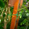 KADAX TPR-Pflanzen-Twistband, 5 m, grün Produktbild-Vorschau 9