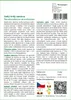 SAFLAX - Velký trnitý bambus - Dendrocalamus arundinacea - Náhled obrázku produktu 3