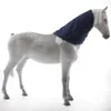 A white horse wearing a navy blue neck cover against a white background. Produktbild-Vorschau