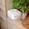 A dehumidifier box sits on a shelf next to a potted plant. Voir les images du produit