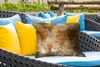 MuchoWow® Outdoor Kissen - Weltkarte - Antik - Braun - Produktbild-Vorschau 4
