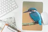 MuchoWow® Mauspad Mousepad Vogel - Eisvogel - Tiere - Zweig Produktbild-Vorschau 5