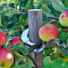 Aststützhaken für Obstbäume - Aststütze Stützhaken Produktbild-Vorschau 2
